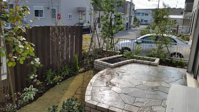 木もん砂岩 木もん砂岩